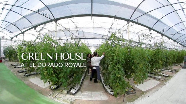 El Dorado Greenhouse